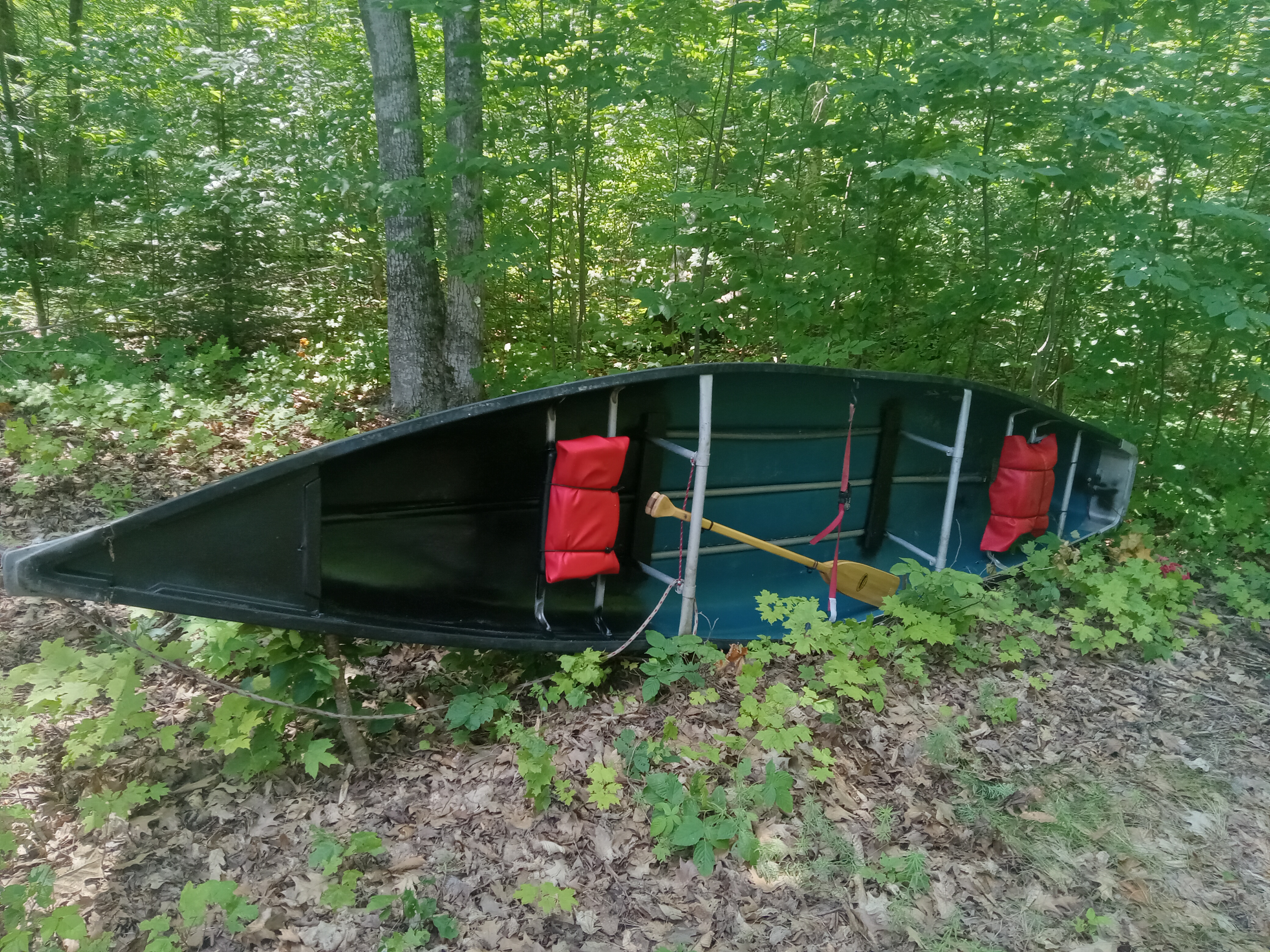 20240717_141841.jpg