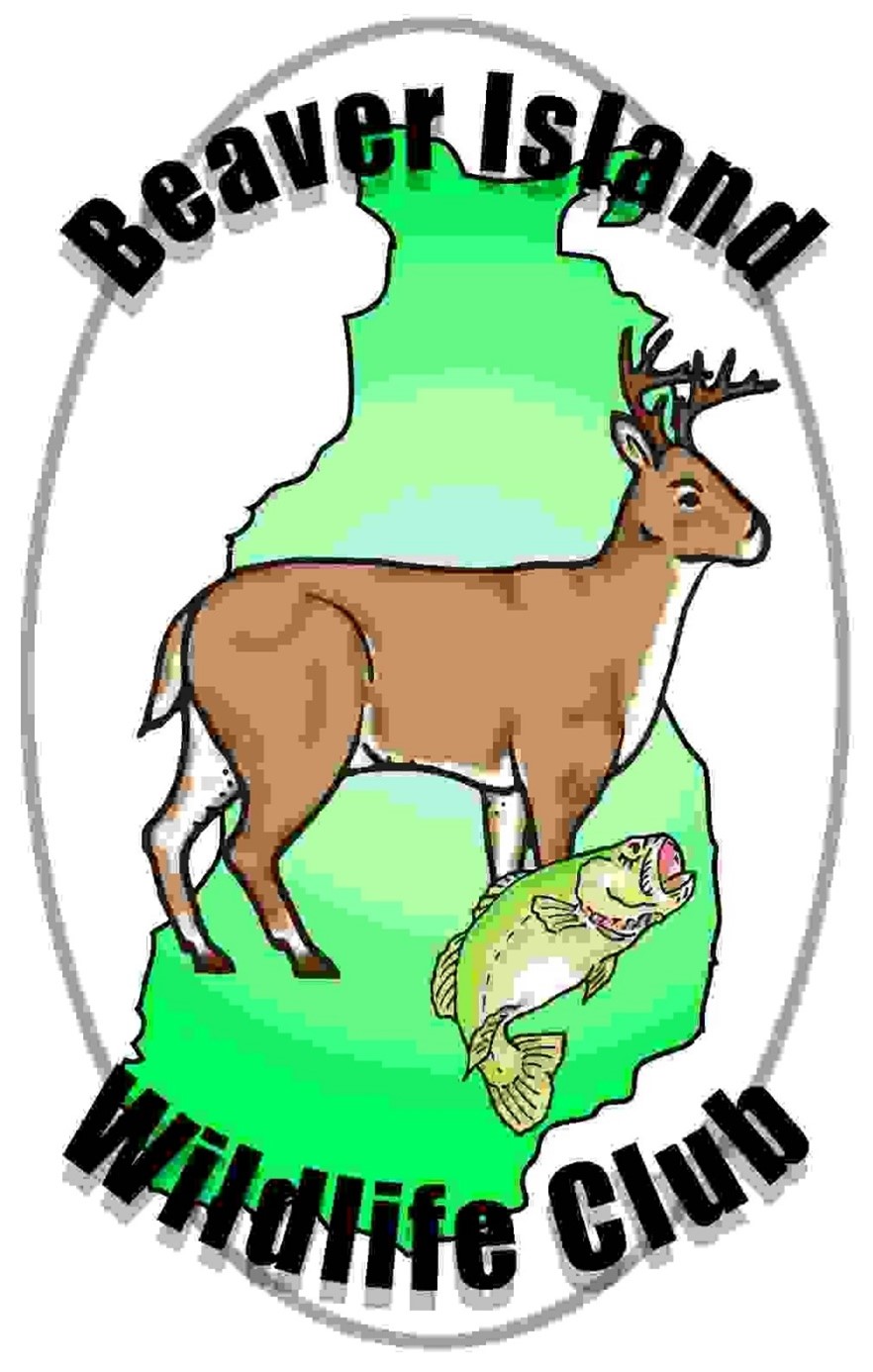 BIWC LOGO.jpg