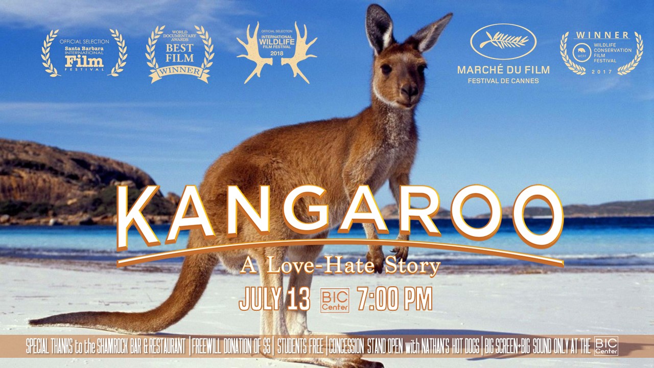 BCC - 2019-07-13 Kangaroo.JPG